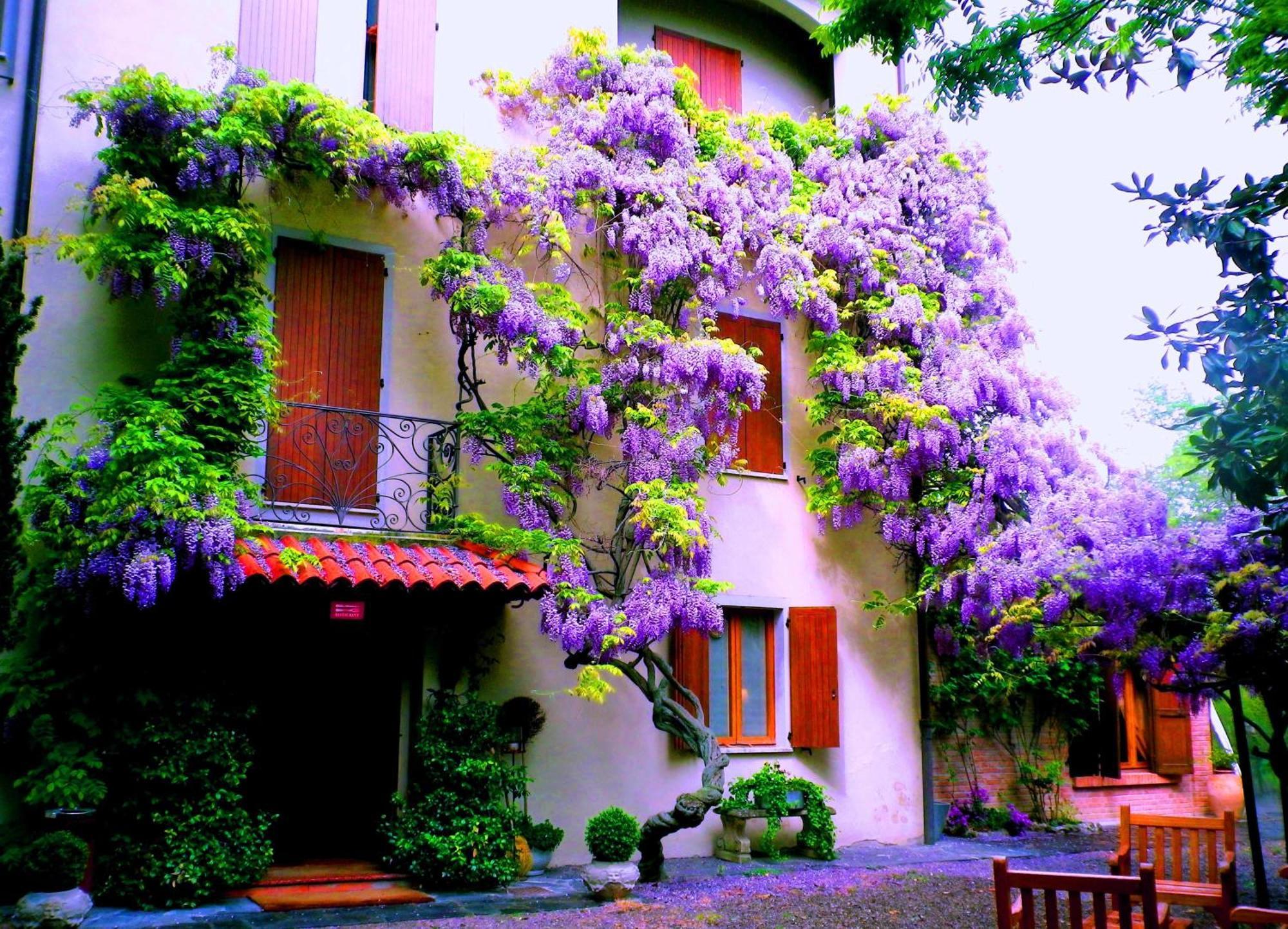 Le Querce Hotel سالسوماجّوري تيرمي المظهر الخارجي الصورة